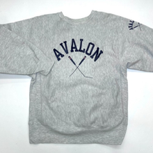 champion reverse weave sweatshirt (100-105 size)